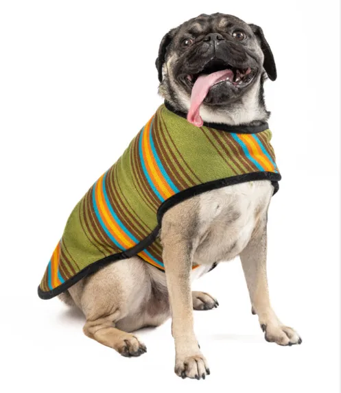 Camp Green Dog Coat