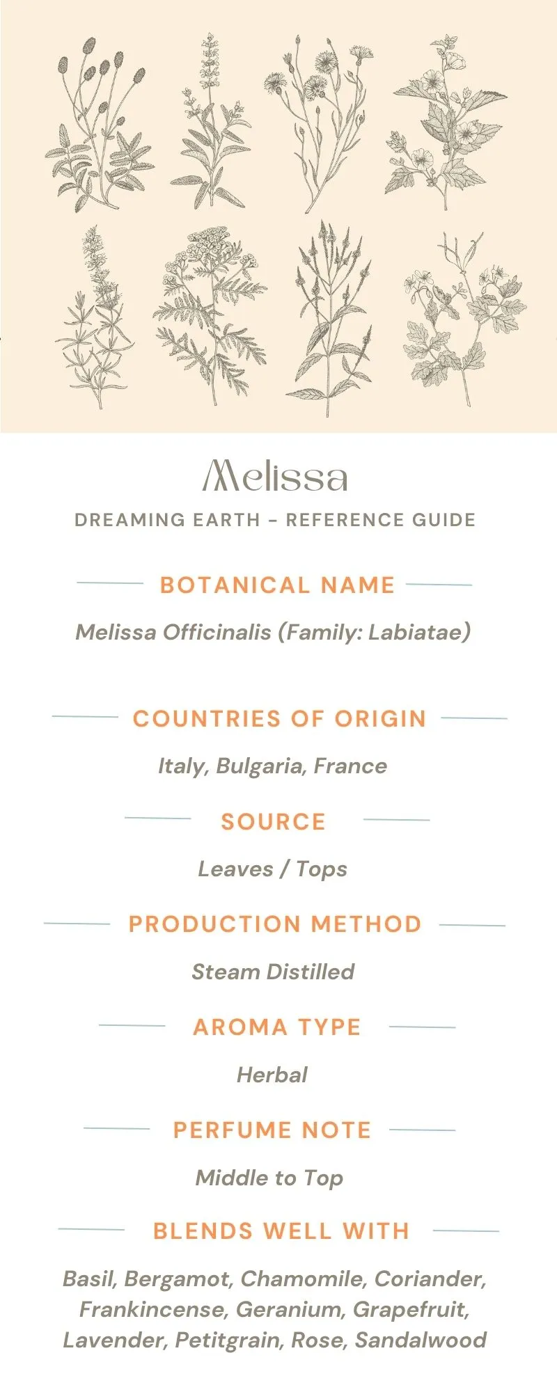 Melissa Essential Oil